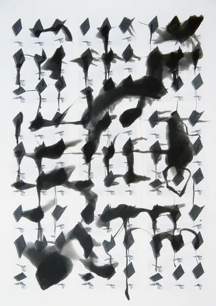 Björn Wandels — allesgut ‘24’