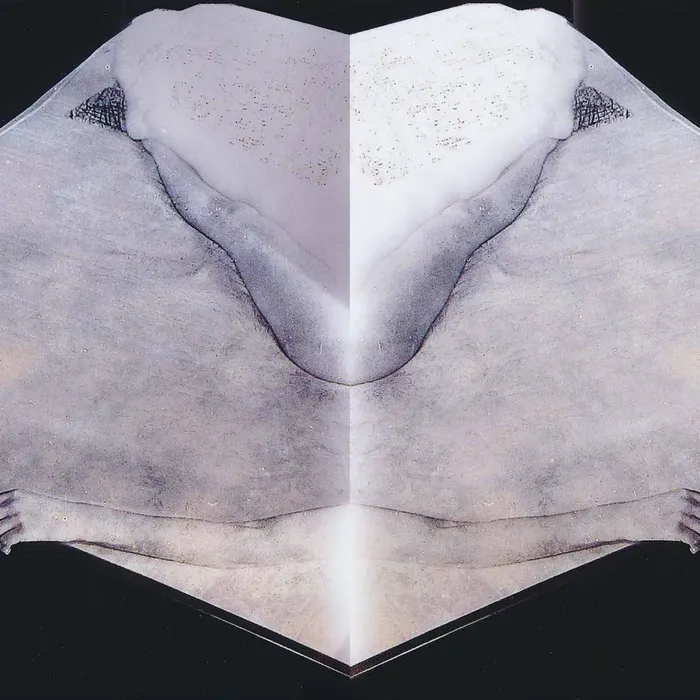 Björn Wandels — allesgut
