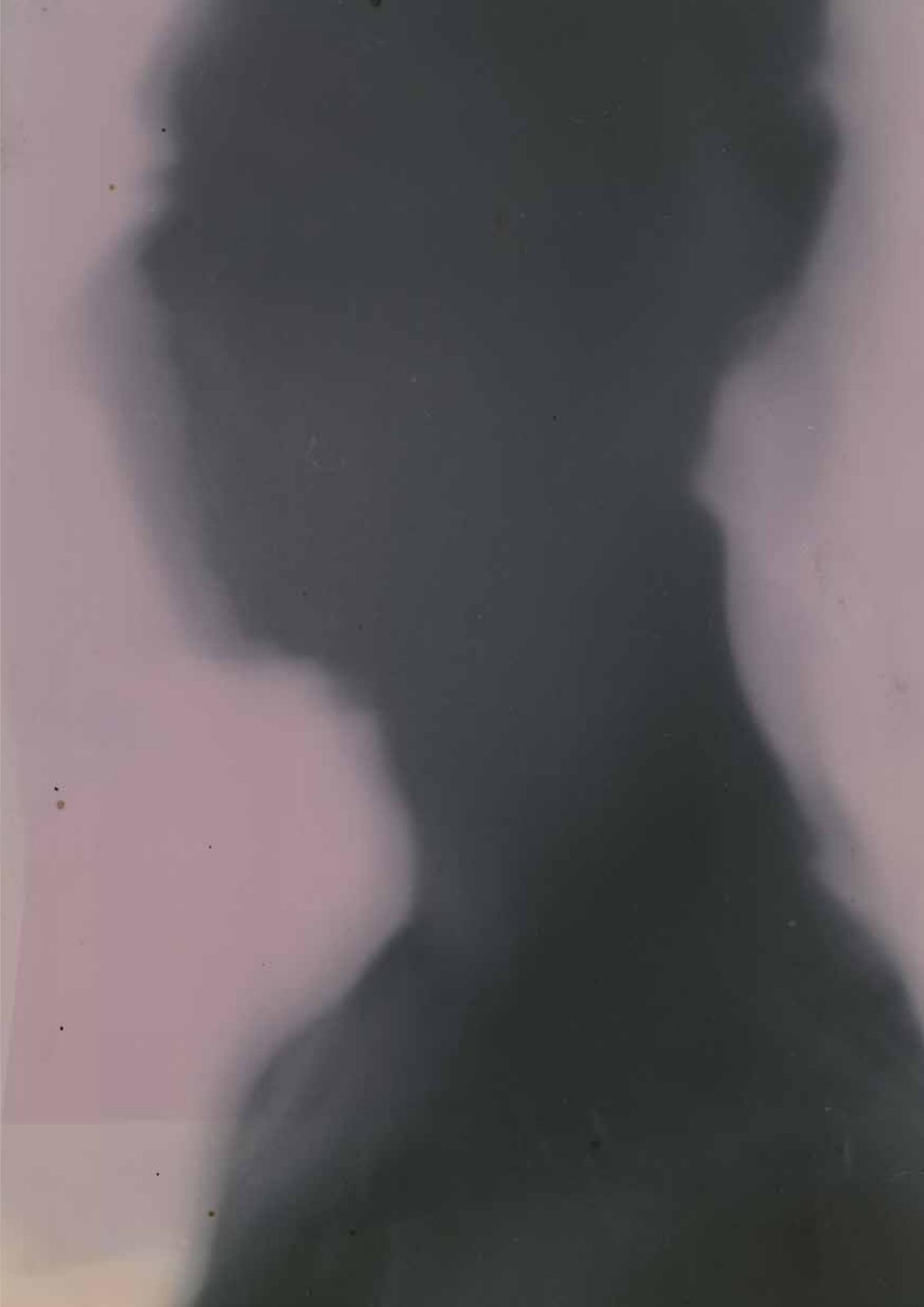 allesgut — purple silhouette
